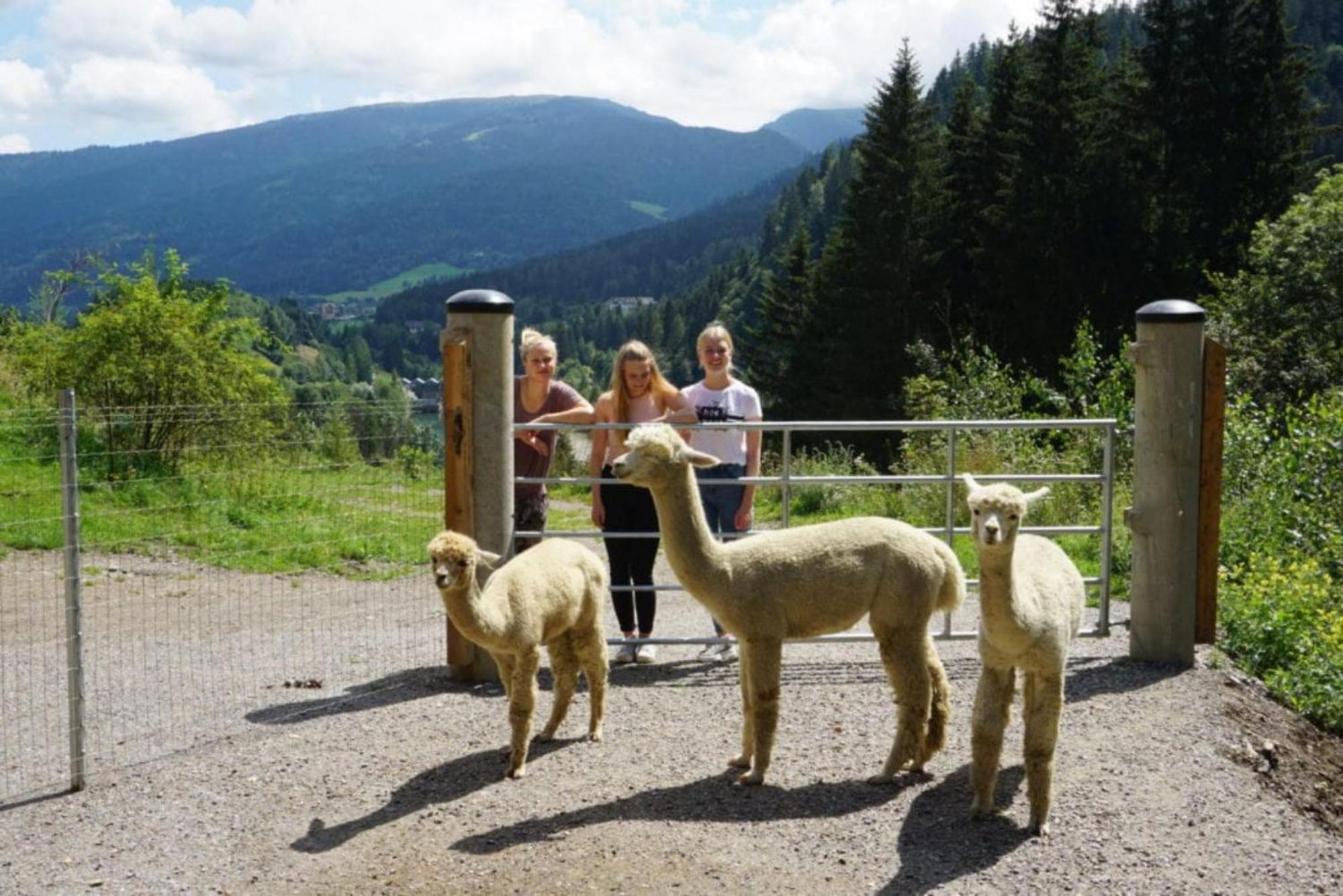 Vitalhof Am Kreischberg By Alps Resorts Bodendorf  Exteriör bild